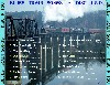 Blues Trains - 150-00d - tray back _Diesel Crossing Railway Bridge.jpg